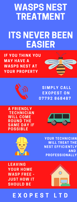 wasp nest treatment middlesbrough