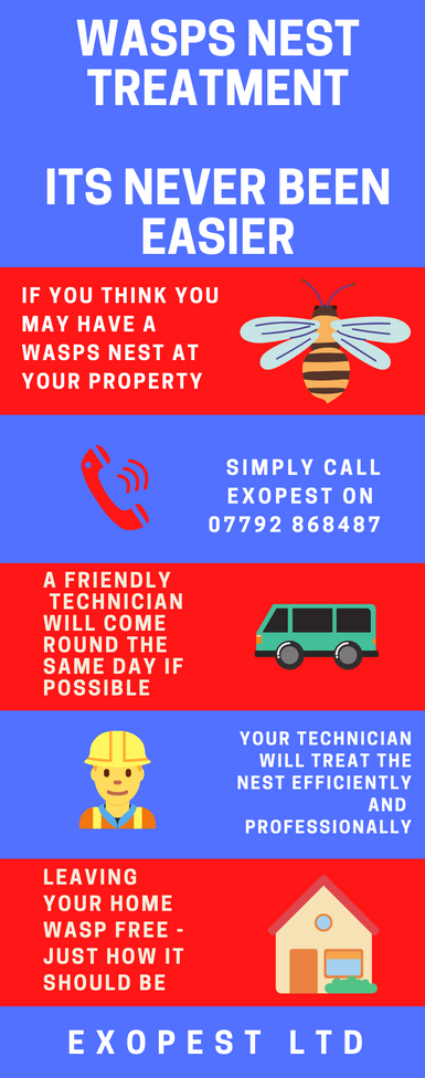 wasp nest removal yarm