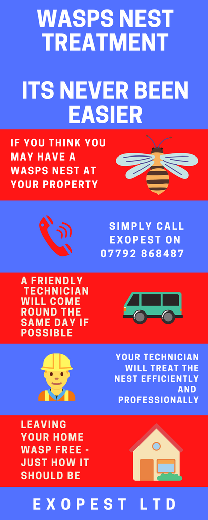 wasp nest removal whitby