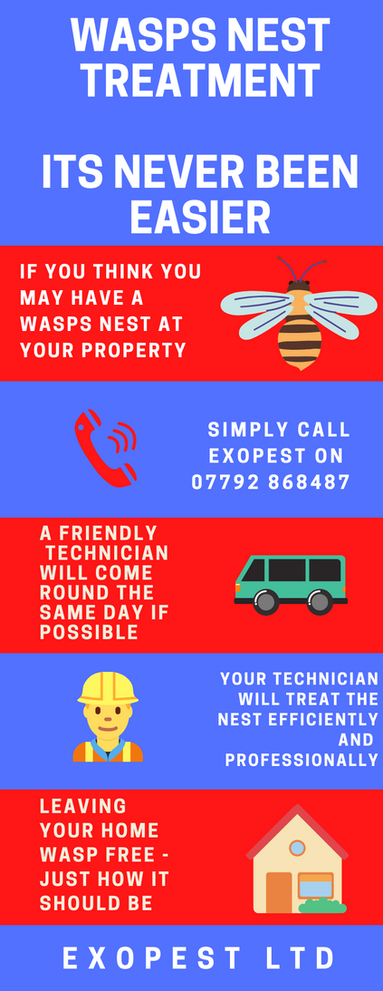 wasp nest removal redcar