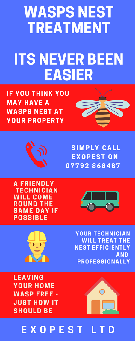 wasp nest removal brotton